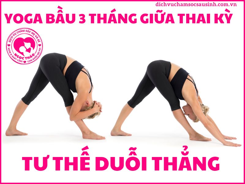 Tư thế duỗi thẳng